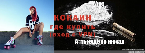 мяу мяу мука Дмитриев
