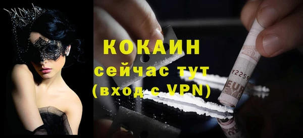 мяу мяу мука Дмитриев