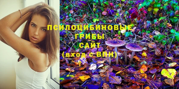мяу мяу мука Дмитриев
