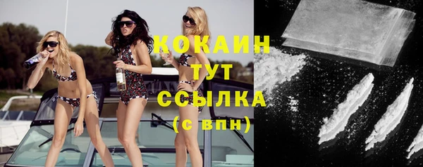 мяу мяу мука Дмитриев