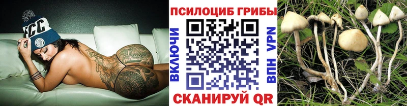 Купить где  Наволоки  Псилоцибиновые грибы прущие грибы 